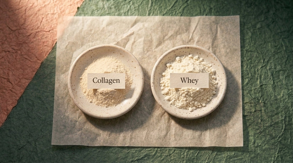 Editorial still life comparing hydrolysed collagen and whey protein powders in two dishes