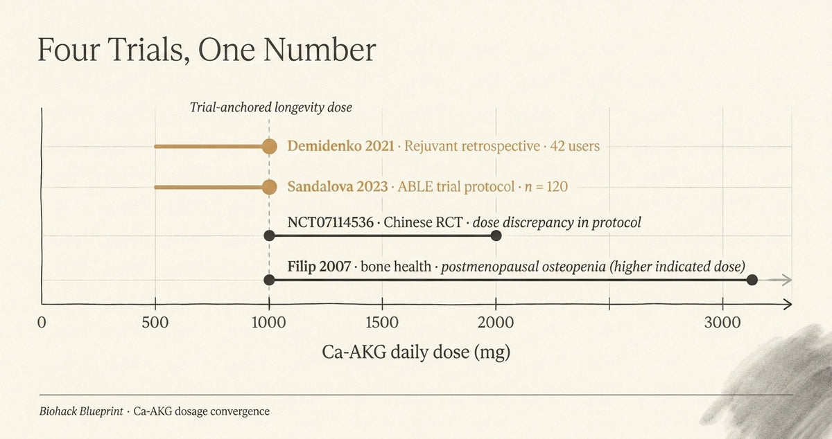 Ca-AKG dosage research overview comparing human study doses and contexts
