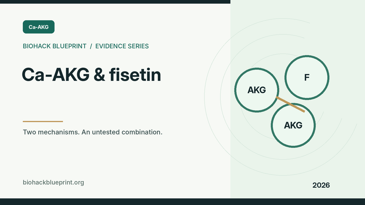 Ca-AKG and fisetin — editorial illustration comparing two supplement compounds