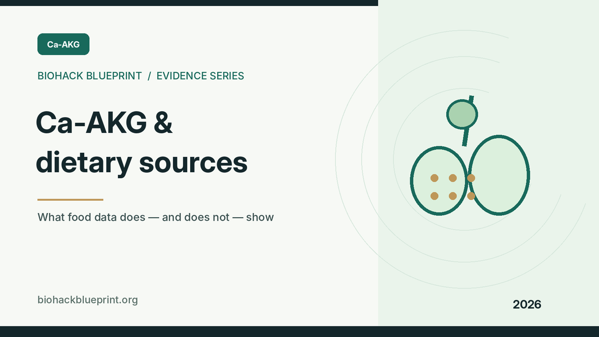 Ca-AKG dietary sources — editorial illustration of food