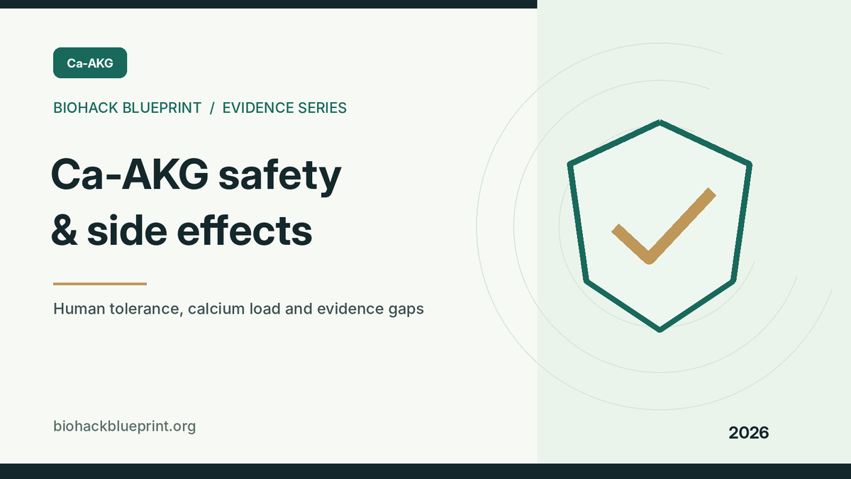 Ca-AKG safety and side effects — editorial shield illustration