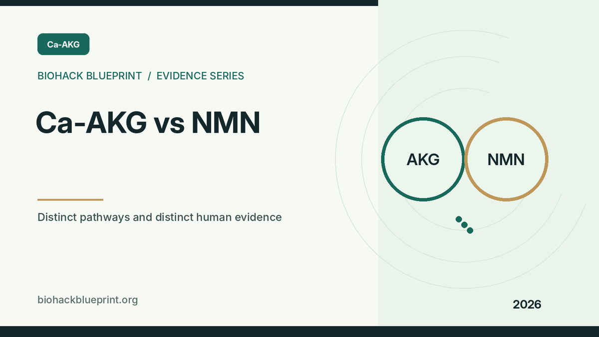 Ca-AKG versus NMN — editorial evidence comparison illustration