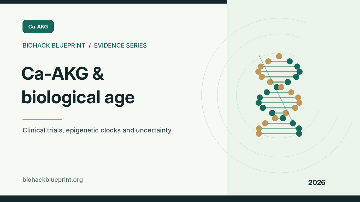 Ca-AKG and biological age — editorial evidence illustration with DNA motif