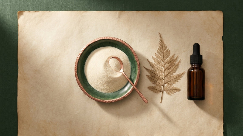  Editorial still life of hydrolysed collagen powder with skincare accessories representing skin health