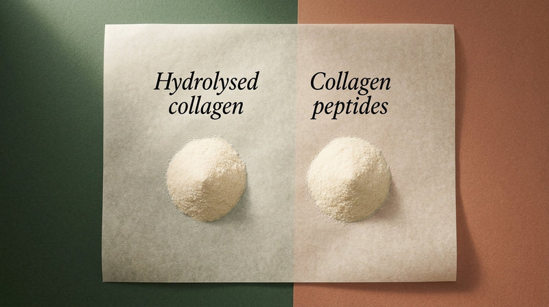 Two identical scoops of hydrolysed collagen peptide powder labelled with the two different terms